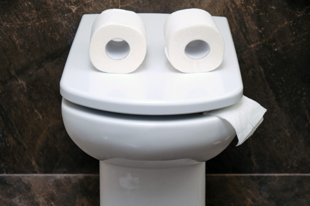 Toilet paper rolls placed on a closed toilet seat to look like eyes. A piece of toilet paper hangs between the lid and seat of the toilet like a tongue.